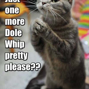 One More Dole Whip Pretty Please