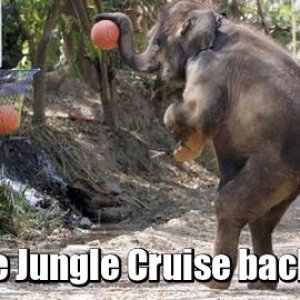 The Jungle Cruise backlot