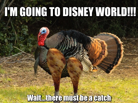 Turkey Leg Turkey Leg