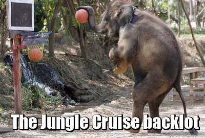 the-jungle-cruise-backlot-meme.jpg