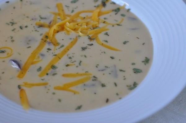 Cheddar Cheese Soup 