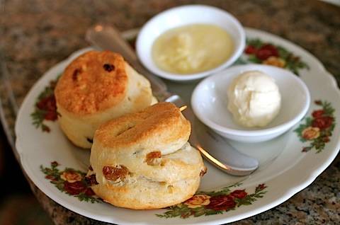 Classic Scones