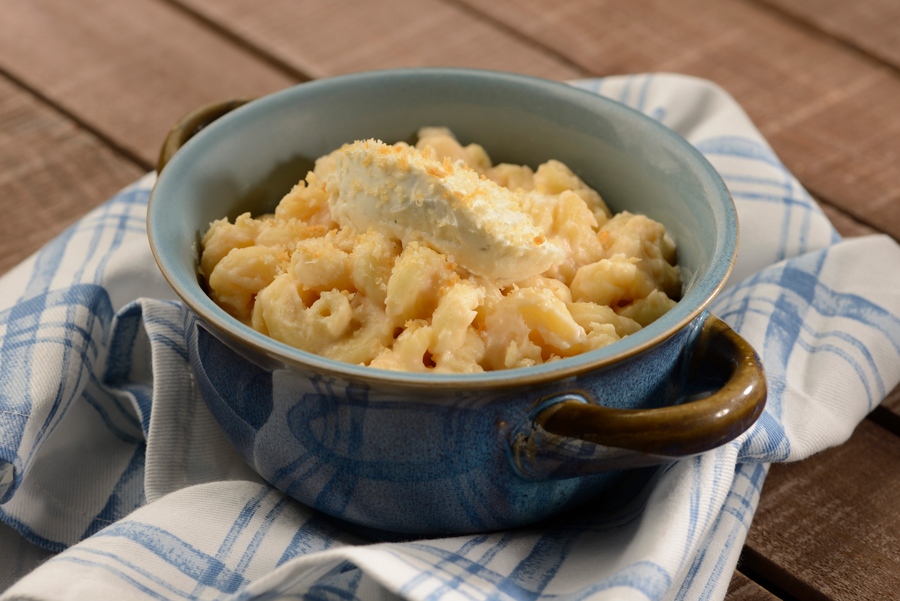 Gourmet Macaroni and Cheese