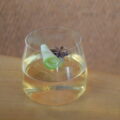 aleo-apple-gin-tonic