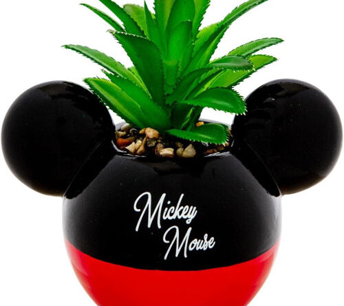 Mickey Mouse Planter With Succulent