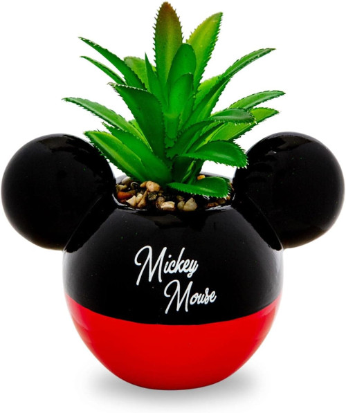 Mickey Mouse Planter With Succulent